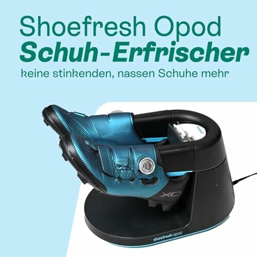 Elektrisches Gerät zur Schuhdesodorierung mit Schuhen